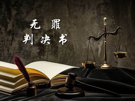 无罪判决案例裁判观点汇总